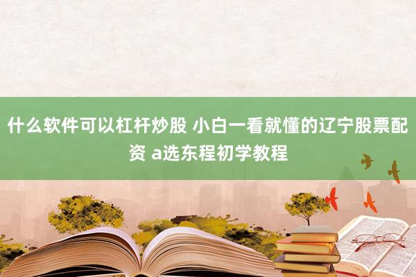 什么软件可以杠杆炒股 小白一看就懂的辽宁股票配资 a选东程初学教程